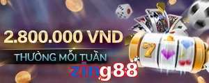 zing88